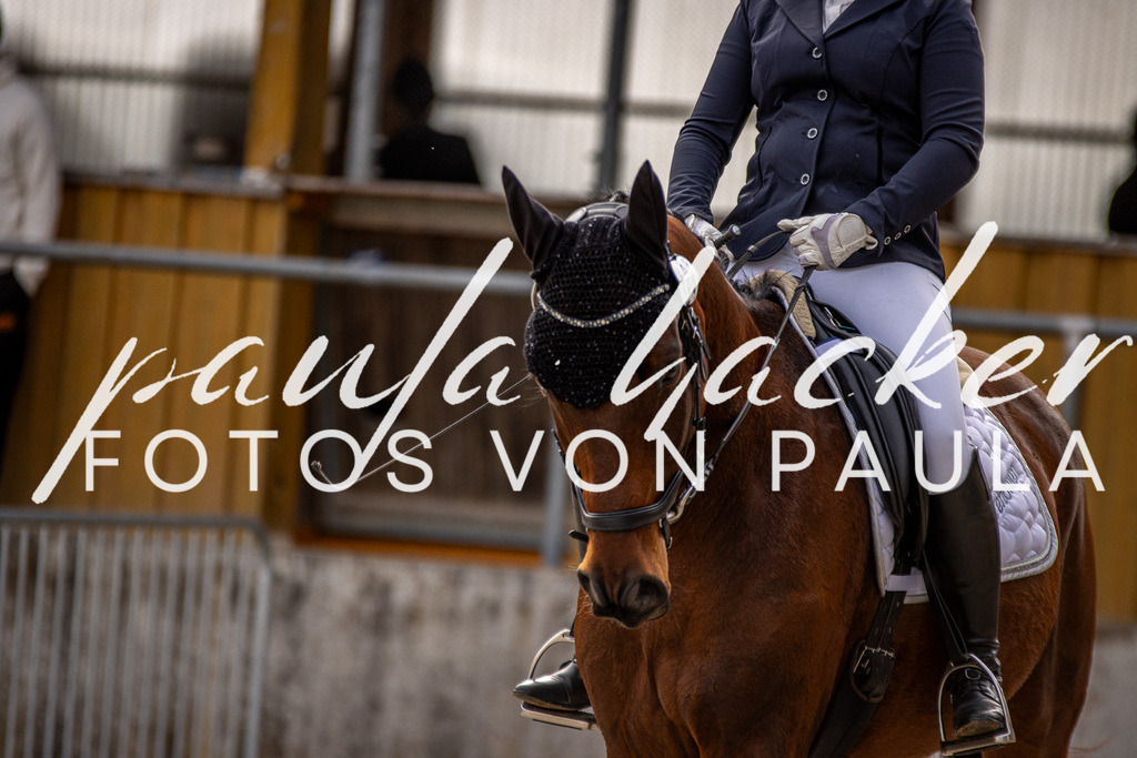 IMG_3184 | Erleben Sie dynamische Sport- und emotionale Tierfotografie in Süddeutschland mit Fotos von Paula. Spezialisiert auf Pferde- und Hundefotografie sowie Sportevents. Kontaktieren Sie mich für einzigartige und ausdrucksstarke Bilder Ihrer besonderen Momente. - Realisiert mit Pictrs.com