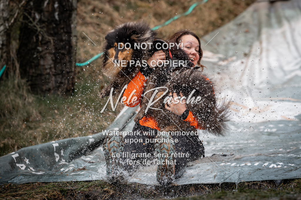nelerasche_1330-1400_16 | nelerasche