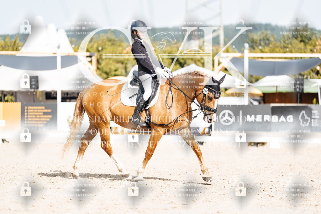 CK905359 | Turnierfotografie Pferdefotografie Trier Rheinland-Pfalz Pferdesport Reitsport Tierfotografie Sportfotografie Pferdevideo Pferdevideografie Equestrianvideography equestrianphotography  - Realisiert mit Pictrs.com