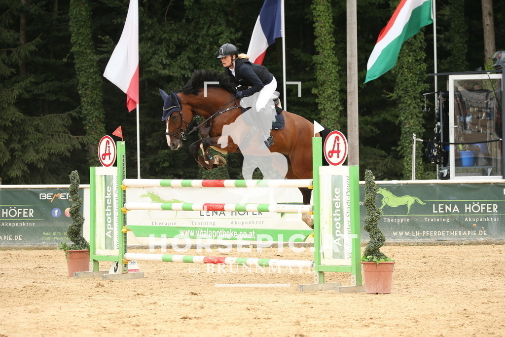 DL2Q7268 | Willkommen bei Brunnmayr - Design & Fotografie – Ihrem Spezialisten für Reitturniere und Pferdeveranstaltungen in Oberösterreich, Salzburg und Bayern! Seit über 17 Jahren sind wir leidenschaftlich dabei.