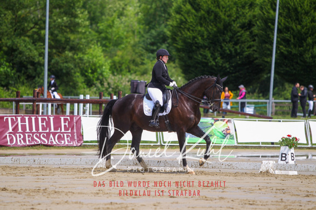 DKP40585 | Turniersportfotografie; Pferdefotografie; Dressurfotografie