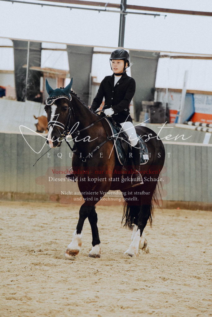 DSC_7330 | Pferde- und Turnierfotografie in Westsachsen. Pferdeportraits, Auftragszeichnungen und intuitive Kunst.