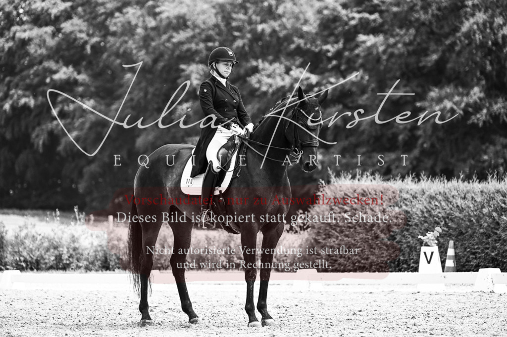 DSC_2559 | Pferde- und Turnierfotografie in Westsachsen. Pferdeportraits, Auftragszeichnungen und intuitive Kunst.