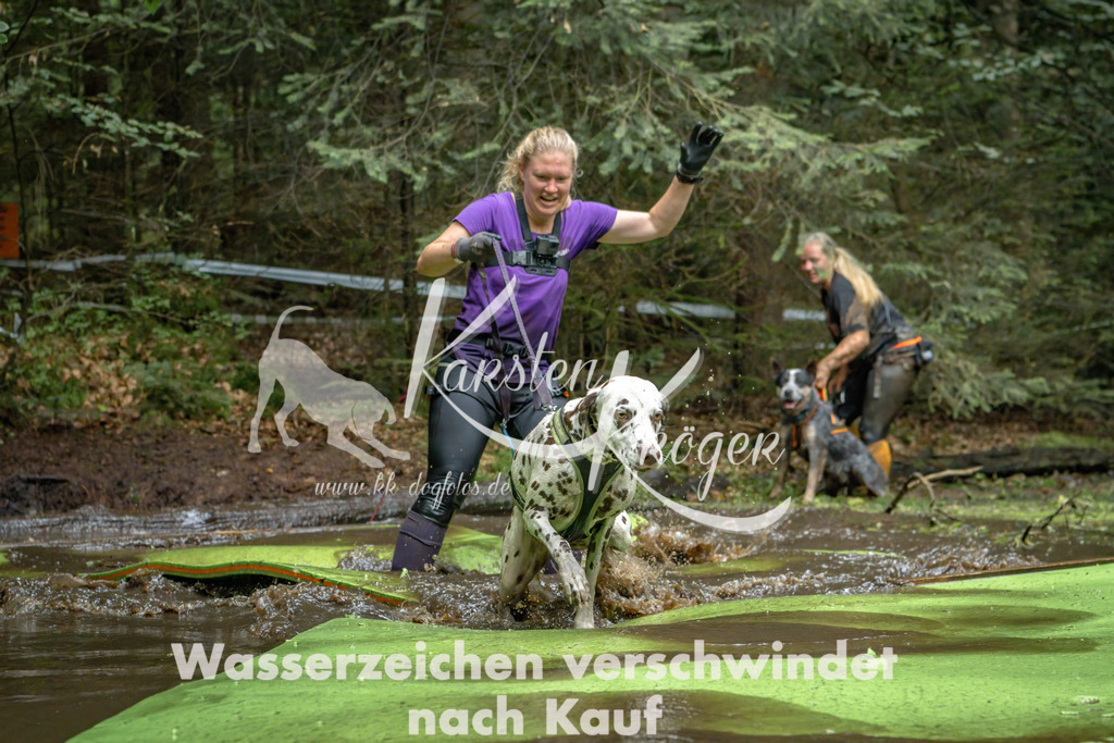 1530_ZZ90994-Bearbeitet | kk-dogfotos
