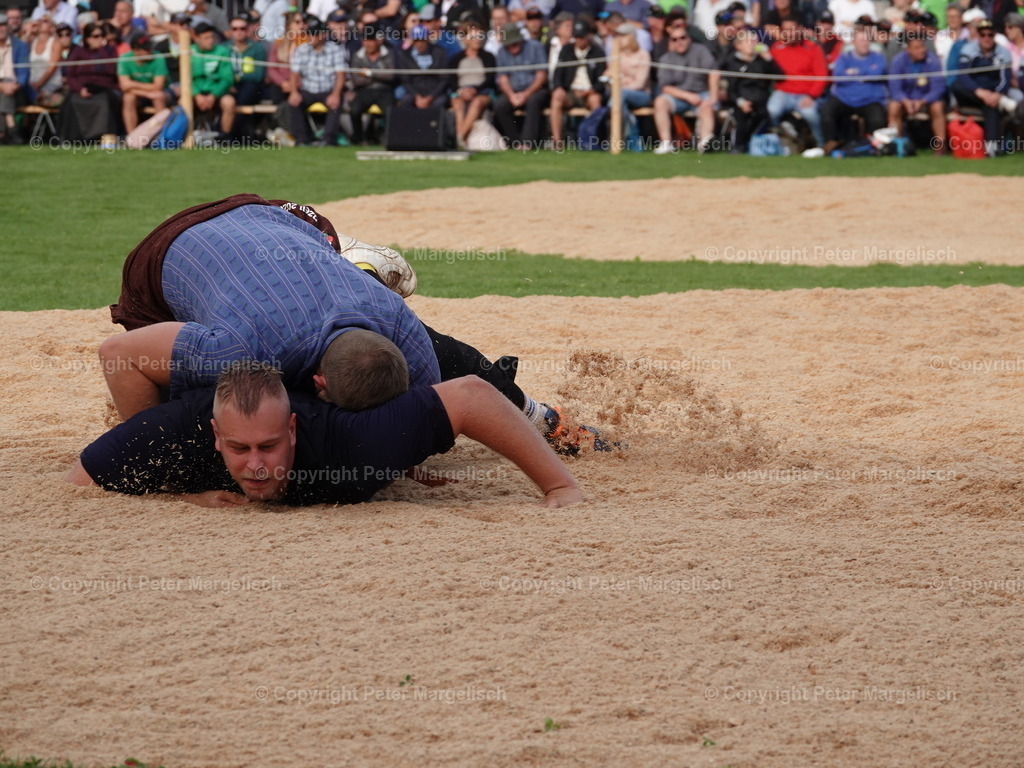 DSC08344 | Schwingen - Realisiert mit Pictrs.com