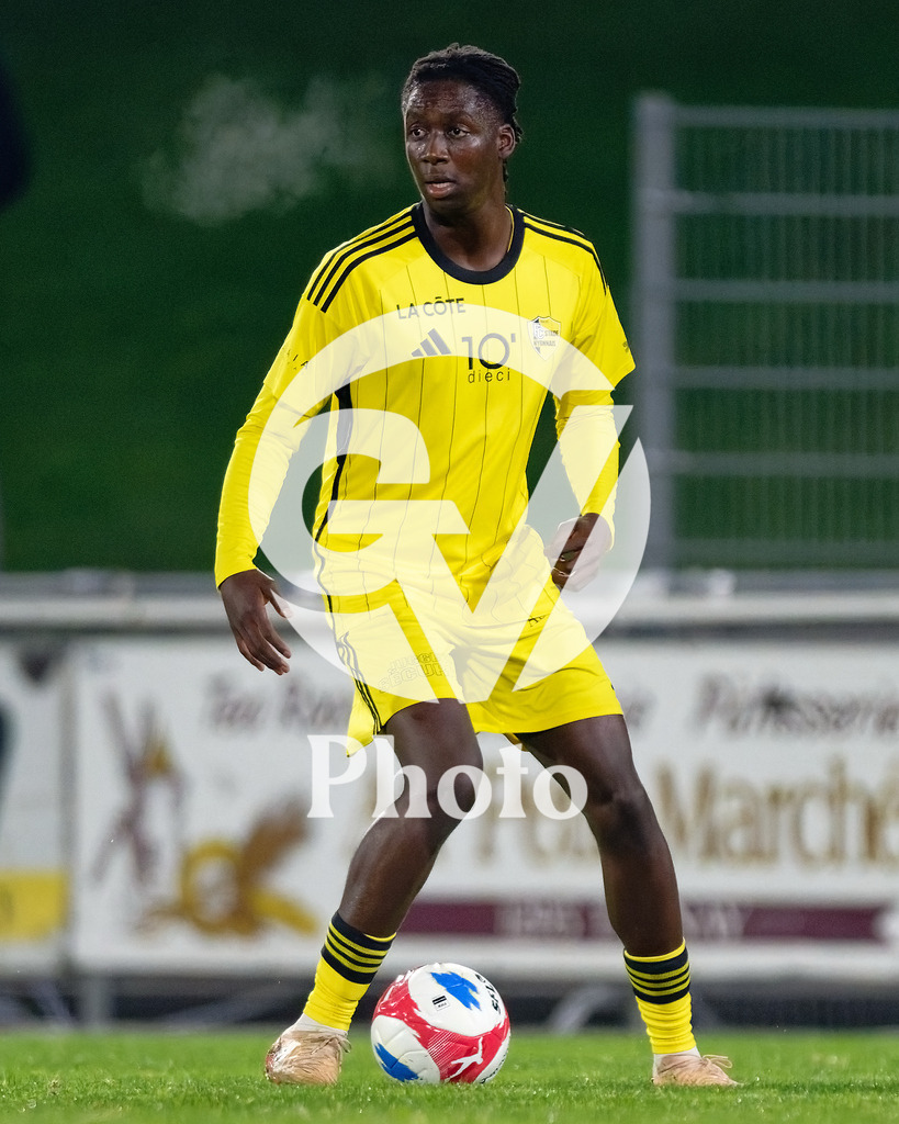 dieci Challenge League - FC Stade Nyonnais v Etoile Carouge FC |  during the dieci Challenge League match between FC Stade Nyonnais and Etoile Carouge FC at Centre sportif de Colovray in Nyon, Switzerland