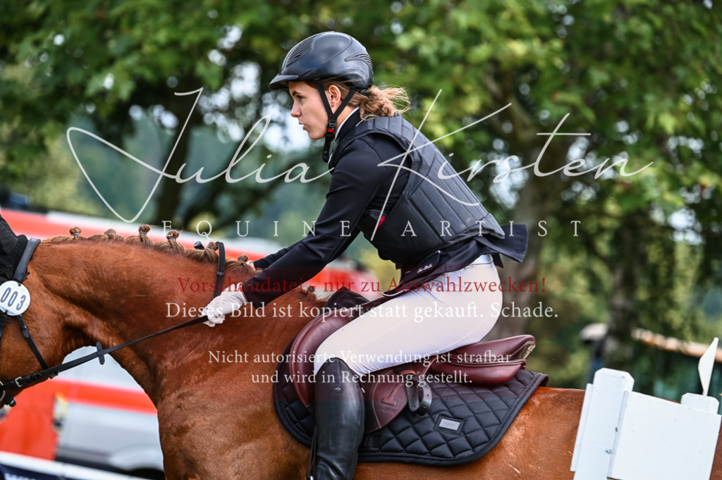 DSC_8201 | Pferde- und Turnierfotografie in Westsachsen. Pferdeportraits, Auftragszeichnungen und intuitive Kunst.