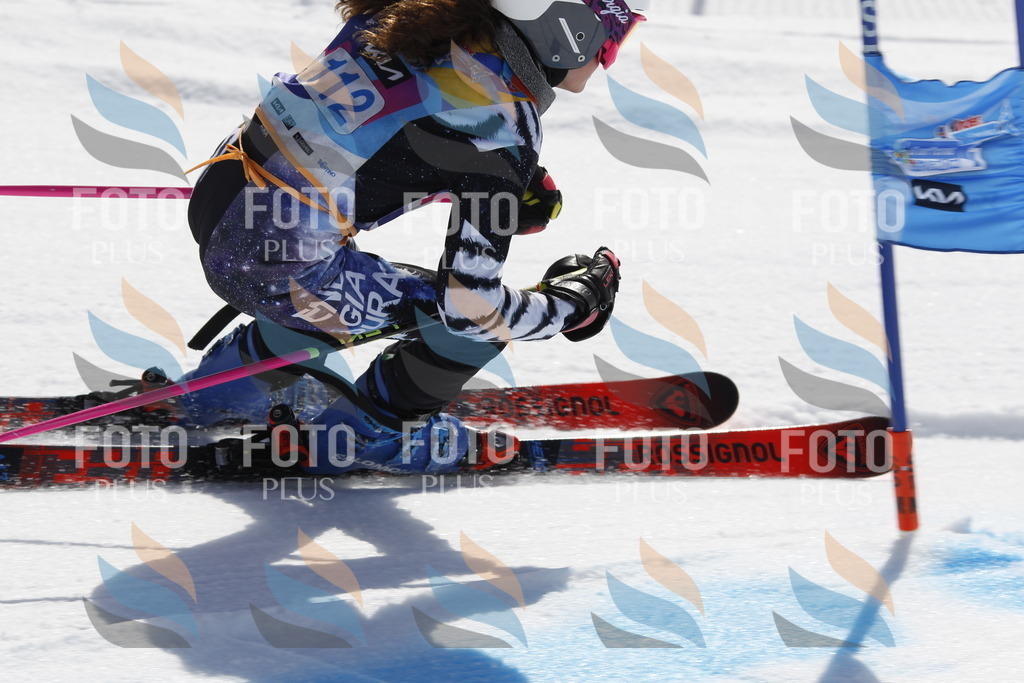 _U3G0548 | holidayphoto