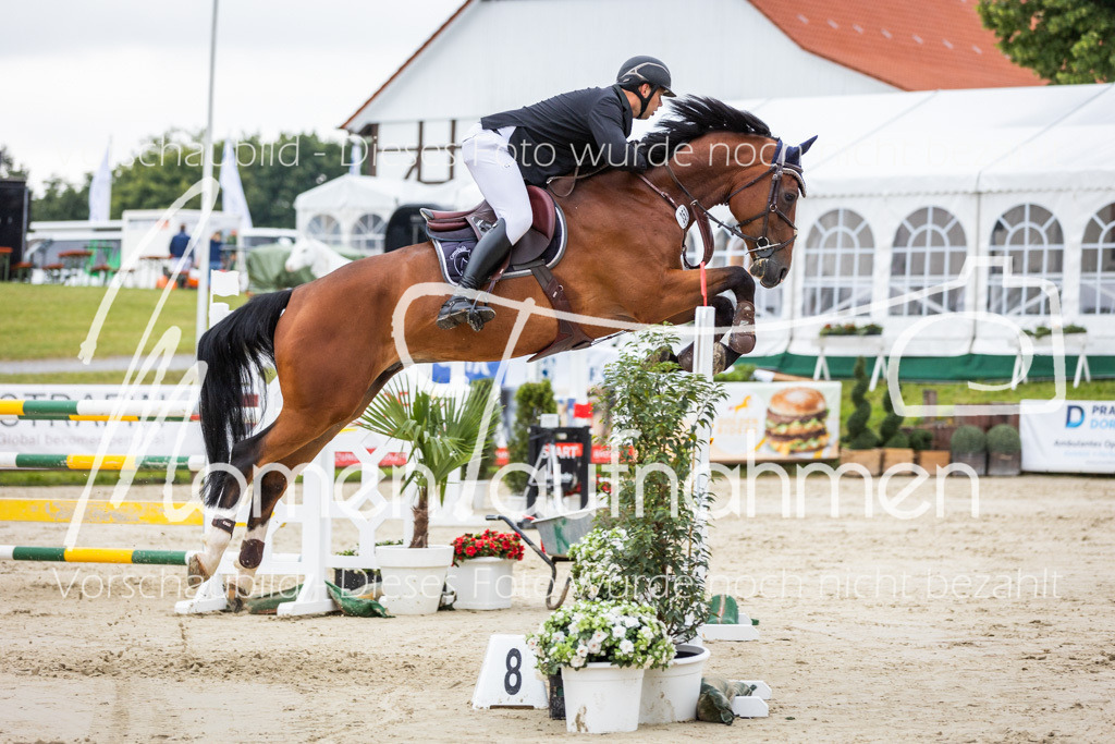 BHO-2PhSpr-M-265 | MomenTaufnahmen Pferdesportfotos