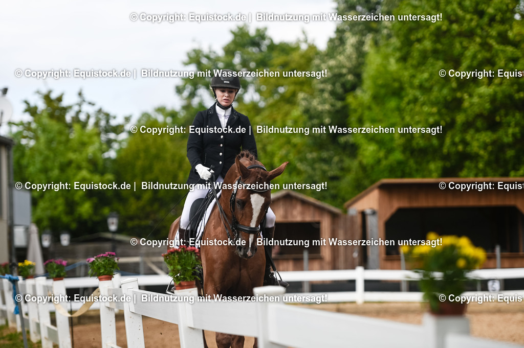 20230716_01_Dressurprüfung Kl.M_0540 | equistock