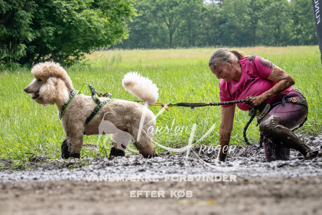 1106_ZZ91513 | kk-dogfotos