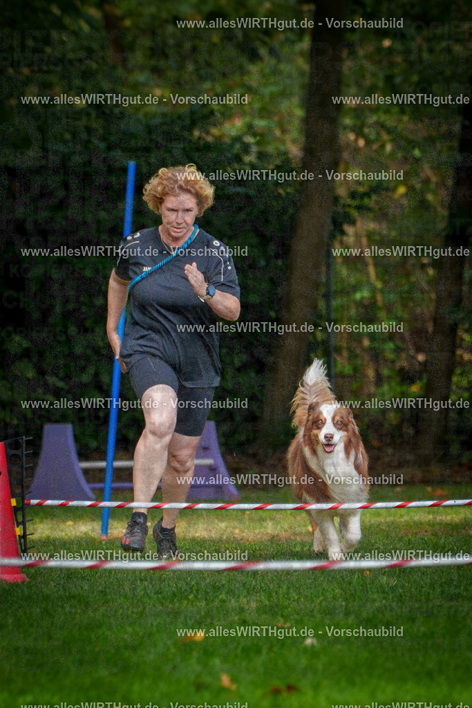 THS_Turnier_27-09-2026-allesWIRTHgut_Tierfotografie-7R506877 | Professionelle Tierfotografie in Mönchengladbach von Daniel Wirth (allesWIRTHgut). Liebevolle & natürliche Bilder von Hunden & Katzen für unvergessliche Erinnerungen.