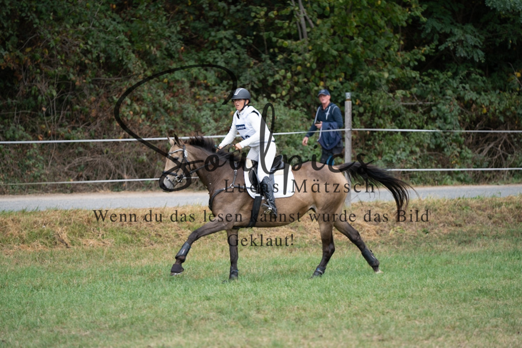 A7V00444 | Pferdefotograf