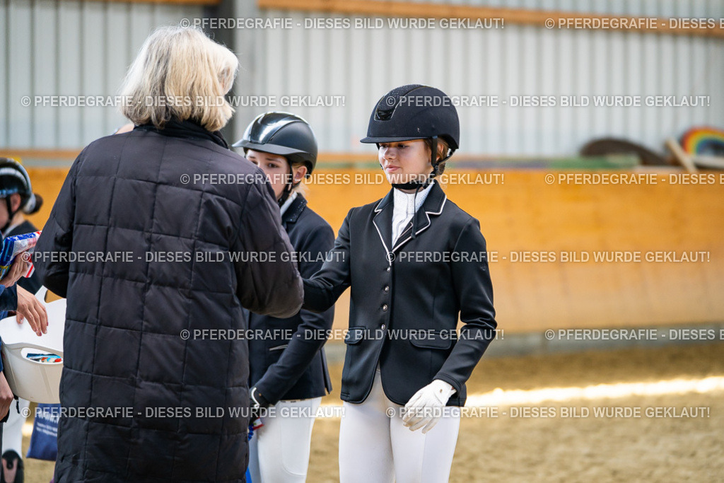 DSC02382 | Pferdegrafie