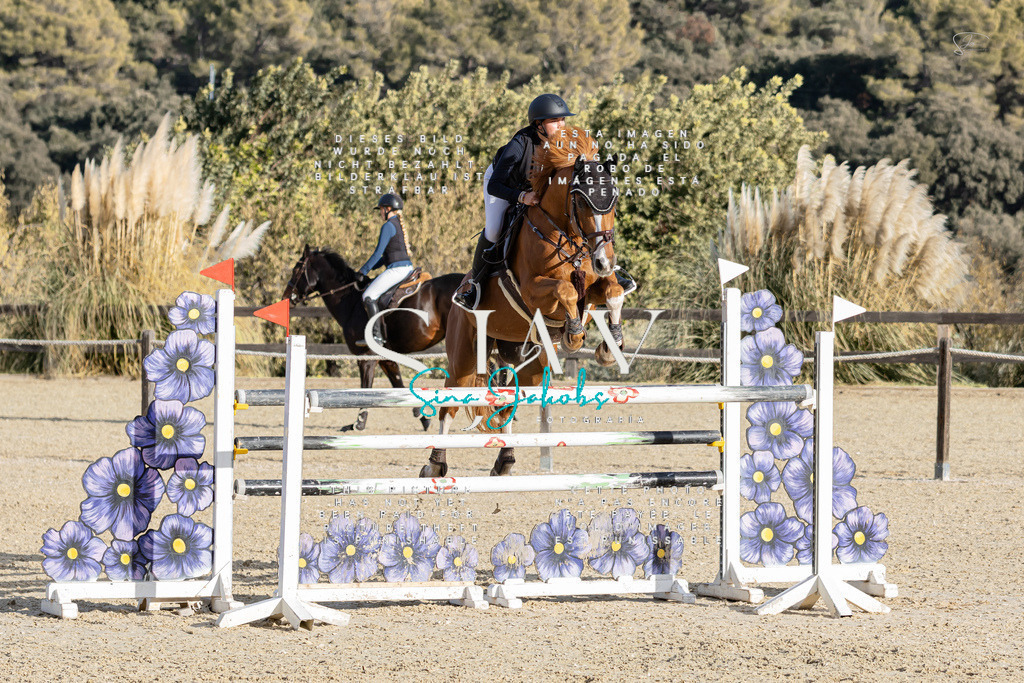 IMG_0555 | s-jay-photography - Realisiert mit Pictrs.com