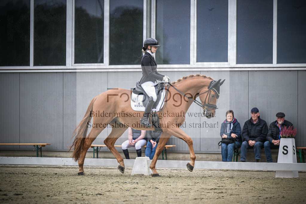 DOS_1383 | Entdecke hochwertige Reitturnierfotos von Foto Oger. Professionell, emotional und authentisch – jetzt Lieblingsmomente im Shop bestellen.Deutschlandweite Turnierfotografie. - Realisiert mit Pictrs.com