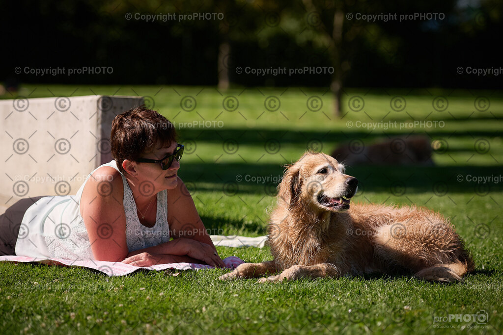 081_202509_4Hundebadetag_NZ9_2349 | proPHOTO - Realisiert mit Pictrs.com