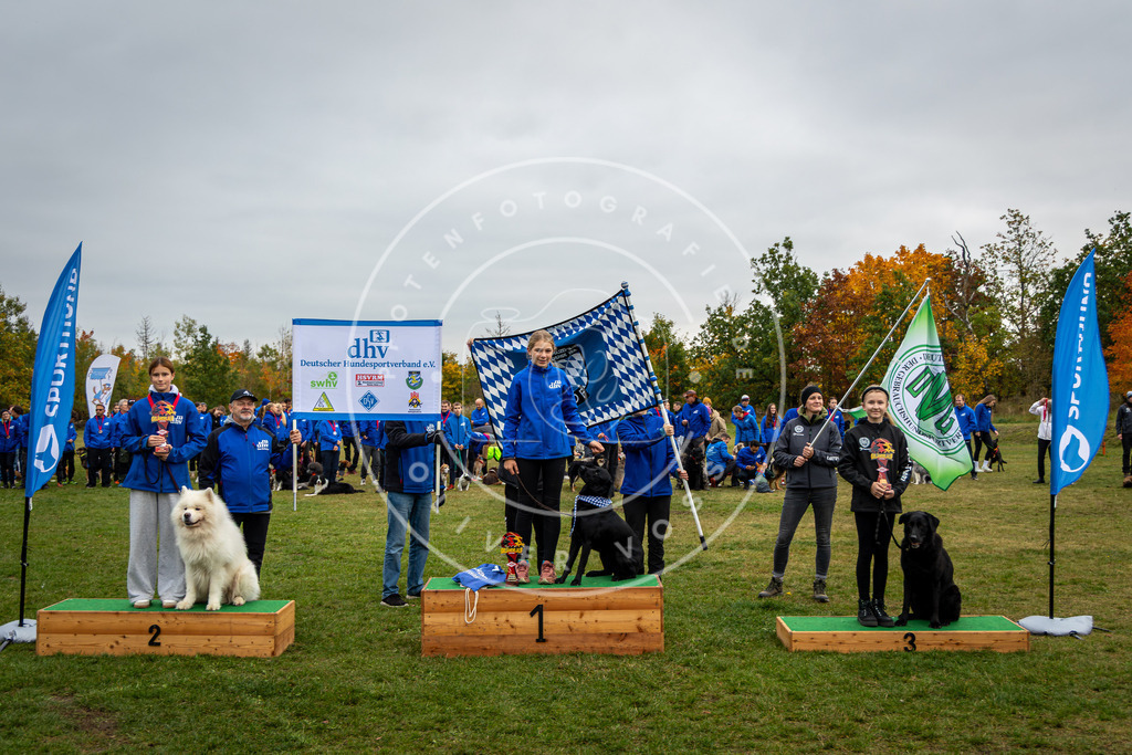 Pfotenfotografie_0L8A0413 | Hundefotografie, Tierfotograf, Pfotenfotografie, Fotoshooting Hund, Hunde Portrait, Hundesport, Hundeportraits, Heideshooting, Hunde, Sportfotograf, Hundefotograf, Turnierhundsport, THS,  - Realisiert mit Pictrs.com