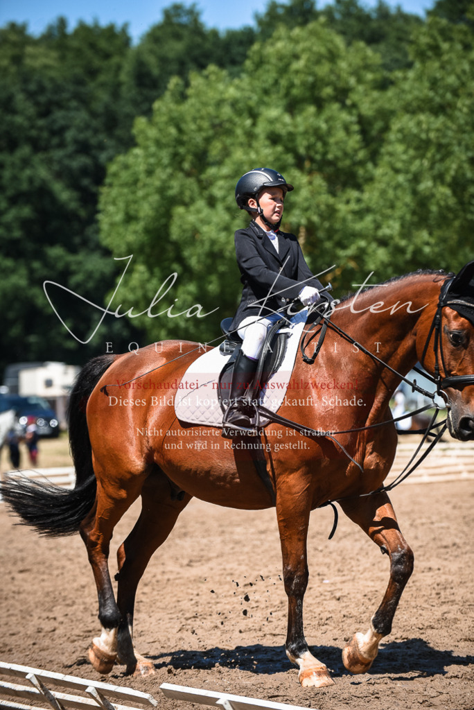 DSC_2988 | Pferde- und Turnierfotografie in Westsachsen. Pferdeportraits, Auftragszeichnungen und intuitive Kunst.