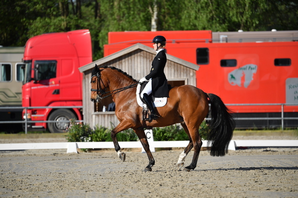 Brunkhorst_15_102 | Der professionelle Turnierfotograf ✓ Reitsport Bilder ▷ Shop ✚ günstig & schnell ✚ mit Zugang für Redakteure
