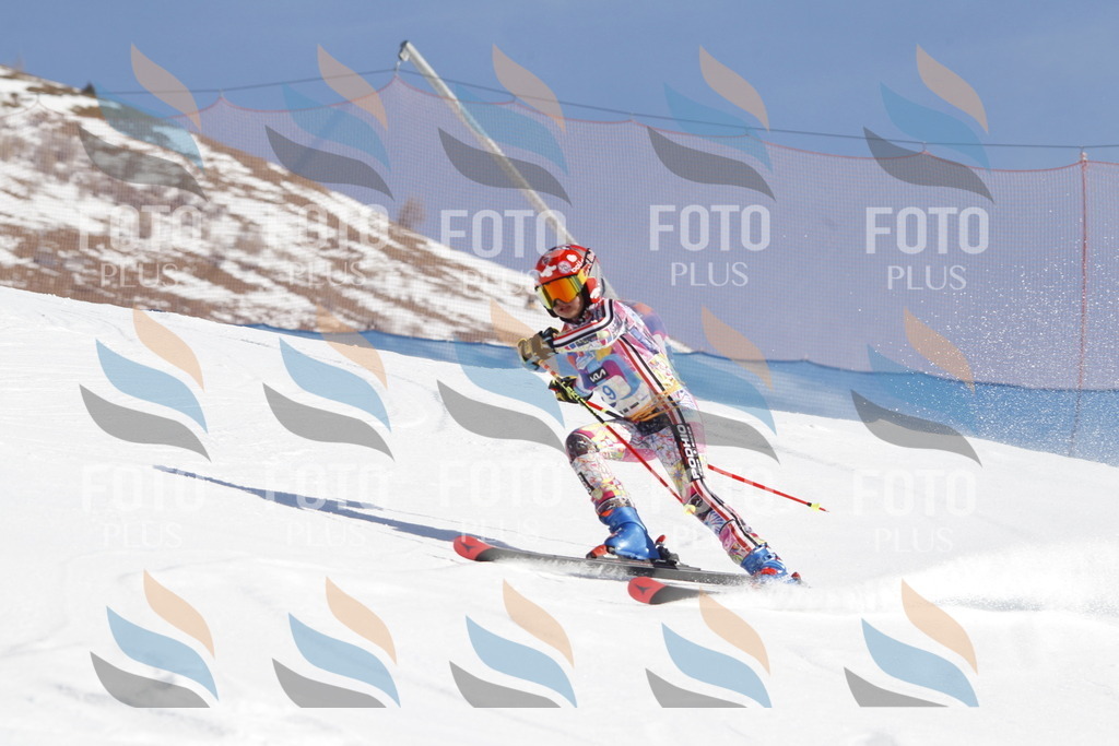 _U3G8770 | holidayphoto