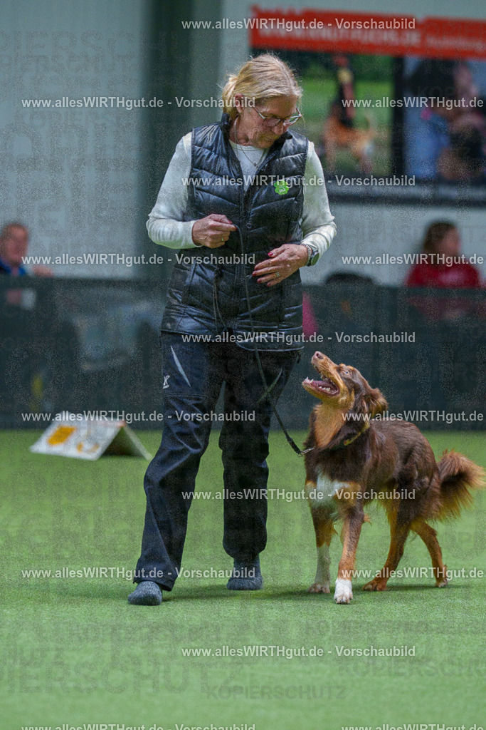 7R506246 | Professionelle Tierfotografie in Mönchengladbach von Daniel Wirth (allesWIRTHgut). Liebevolle & natürliche Bilder von Hunden & Katzen für unvergessliche Erinnerungen.