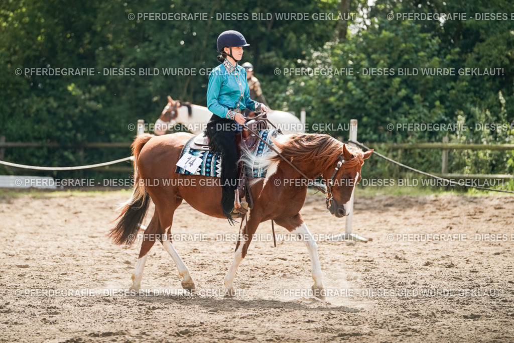 DSC04886 | Pferdegrafie