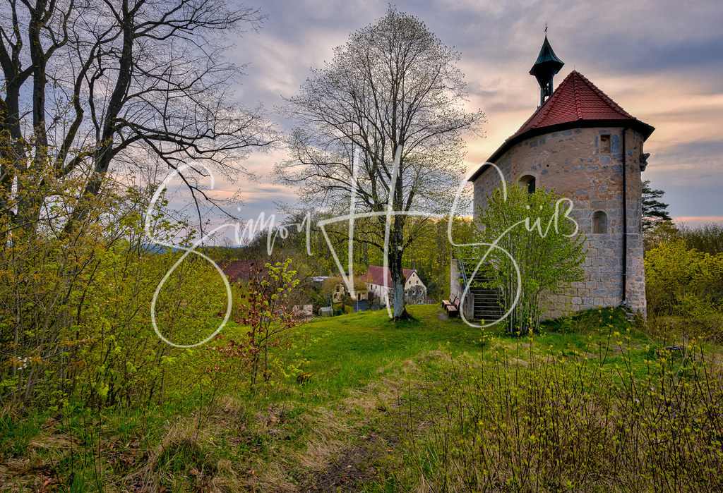 Burgruine Breitenstein im Frühling-4 | simonsuess - Realisiert mit Pictrs.com