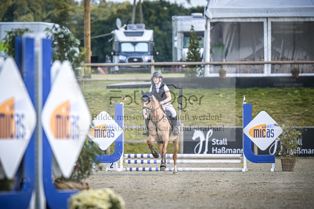 DOS_0231 | Entdecke hochwertige Reitturnierfotos von Foto Oger. Professionell, emotional und authentisch – jetzt Lieblingsmomente im Shop bestellen. - Realisiert mit Pictrs.com