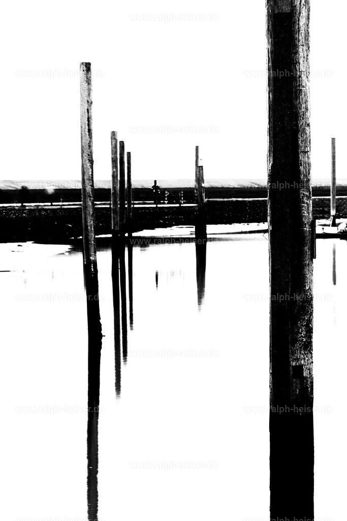 Mole_01 | Wandbilder, Bilder, Fotograf in Marburg, Tierbilder, Wandfotos, Bilder Shop, Günstige Bilder, Schwarz-Weiß Bilder, Ralph Heiser