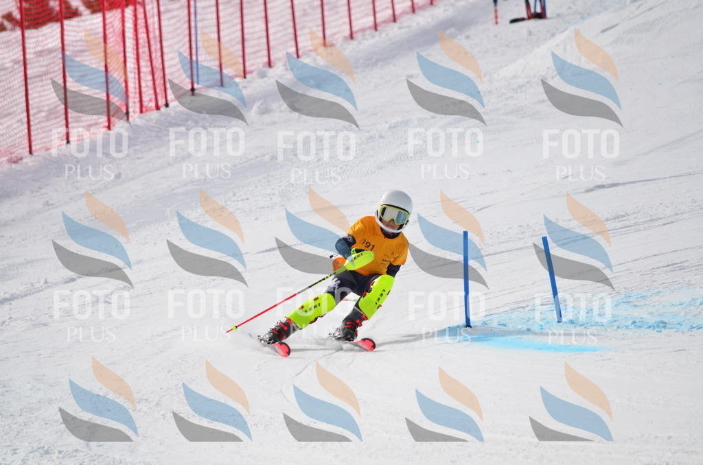 C8055 | holidayphoto