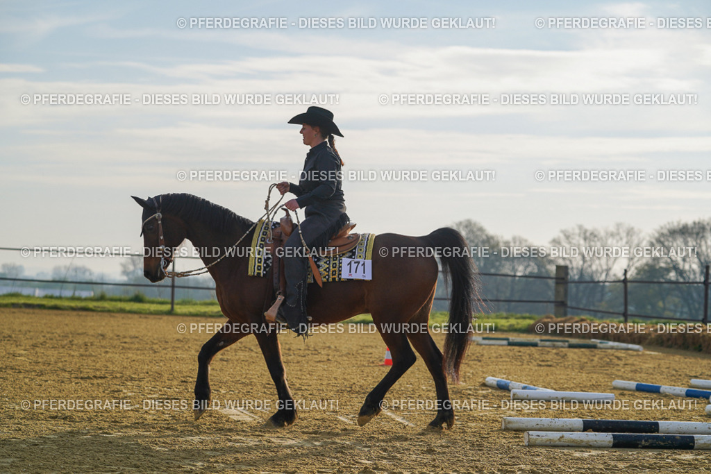 DSC00396 | Pferdegrafie