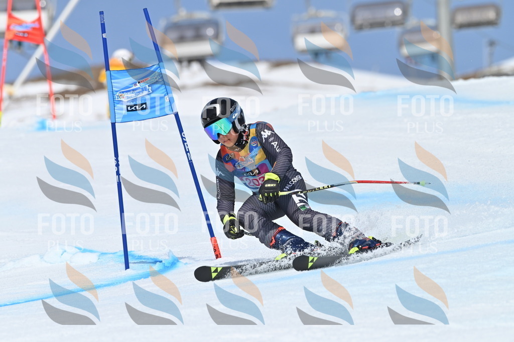 BGV_1027 | holidayphoto