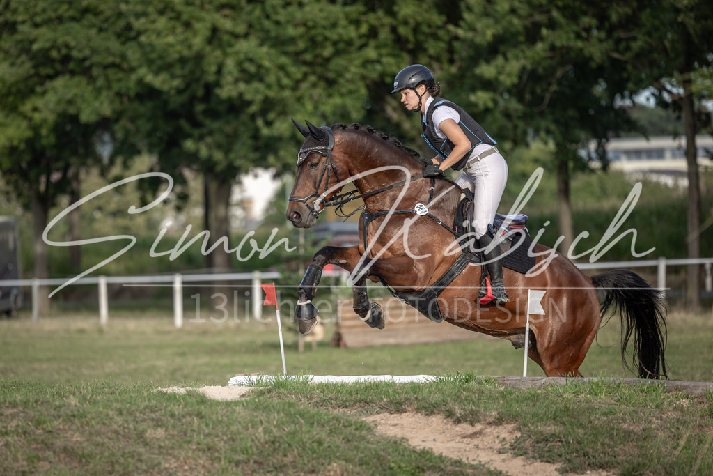 20250907-_3LI8498 | Tierfotografie Pferde, Hunde, Katzen, Haustiere.
Turnierfotografie Reitturniere, Reiten, Springreiten, Dressur in Hanau, dem Main-Kinzig-Kreis und dem Rhein-Main- Gebiet um Frankfurt
