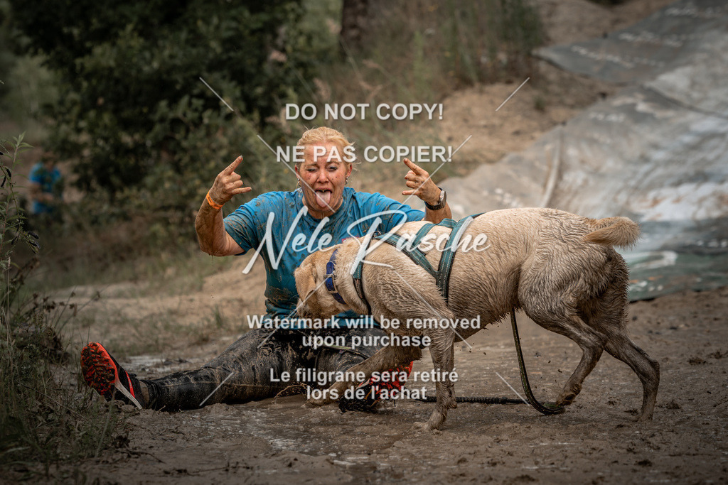 nelerasche_sa1345-1430_16 | nelerasche