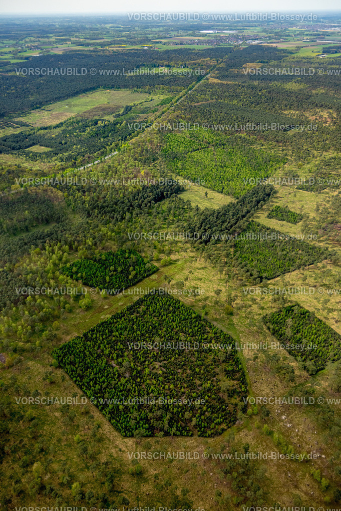 Schermbeck240402076UefterMark | Luftbild, Waldgebiet und Waldmuster an der Borkener Straße Bundesstraße B224, Üfter Mark, Altschermbeck, Schermbeck, Münsterland, Nordrhein-Westfalen, Deutschland