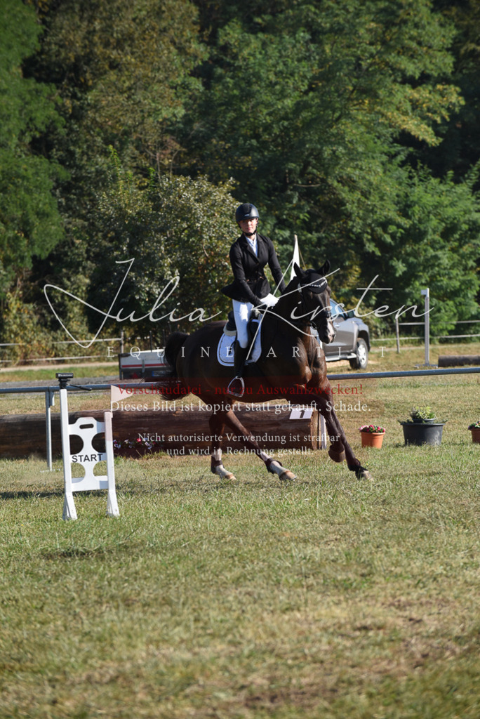 DSC_5147 | Pferde- und Turnierfotografie in Westsachsen. Pferdeportraits, Auftragszeichnungen und intuitive Kunst.