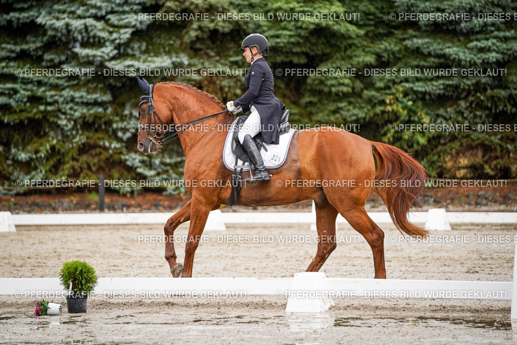 DSC09426 | Pferdegrafie