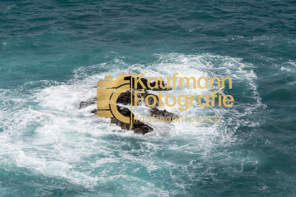 Teneriffe-7644 | kaufmannfoto - Realisiert mit Pictrs.com