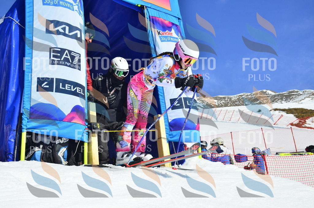 _ELE9695 | holidayphoto