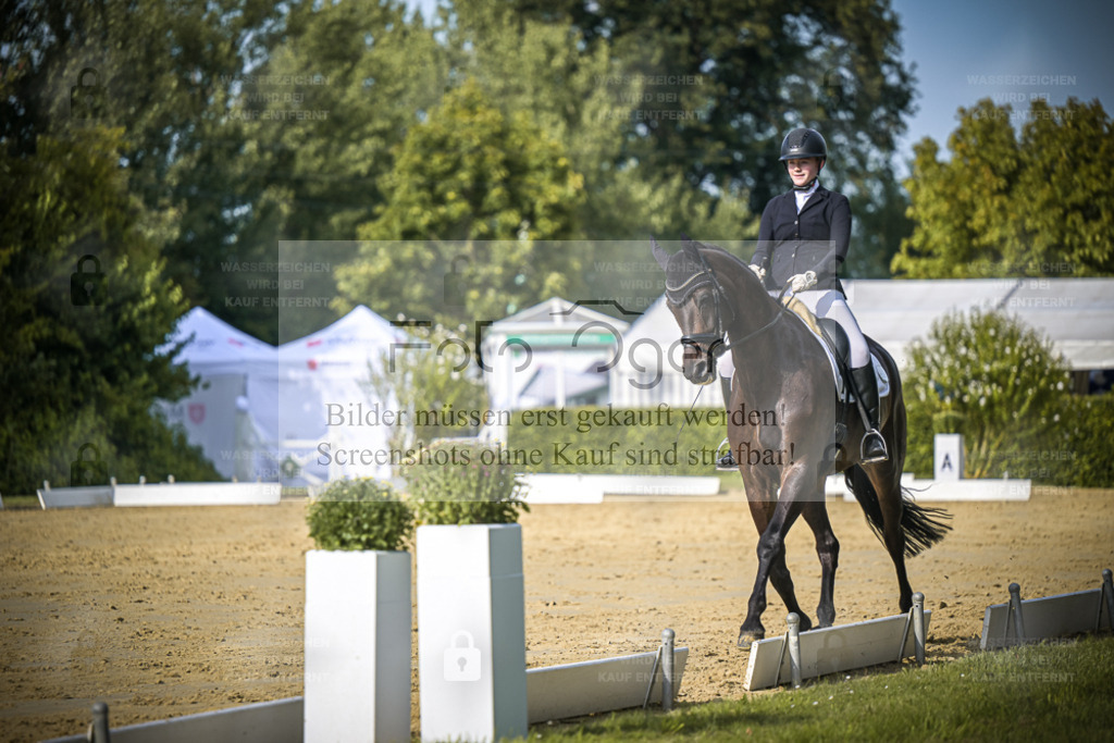 DOS_8422 | Entdecke hochwertige Reitturnierfotos von Foto Oger. Professionell, emotional und authentisch – jetzt Lieblingsmomente im Shop bestellen. - Realisiert mit Pictrs.com