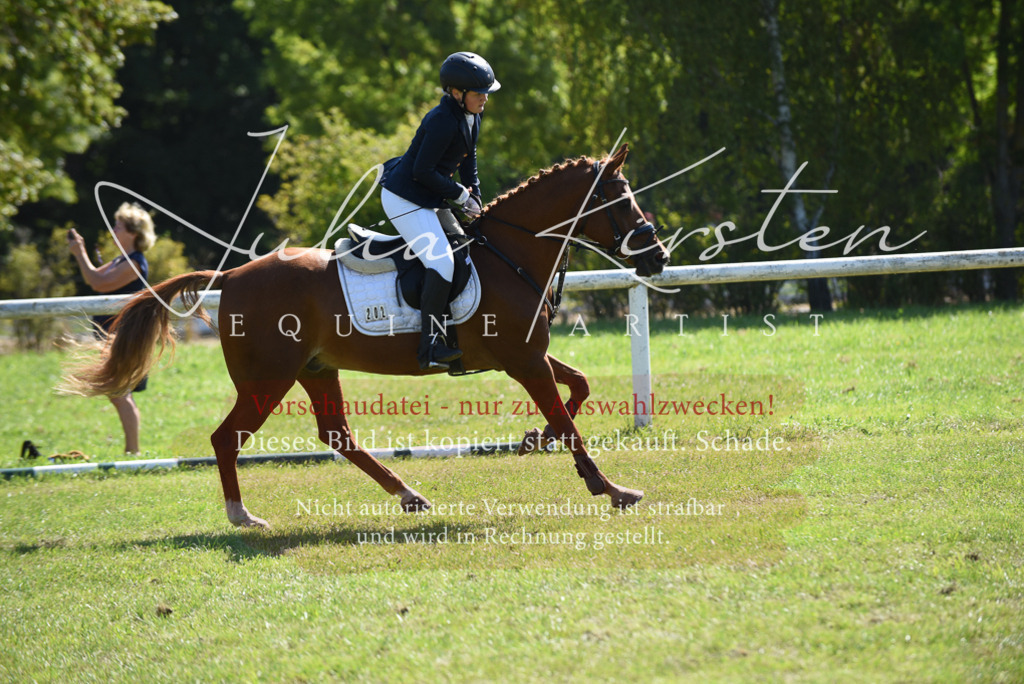 DSC_9319 | Pferde- und Turnierfotografie in Westsachsen. Pferdeportraits, Auftragszeichnungen und intuitive Kunst.