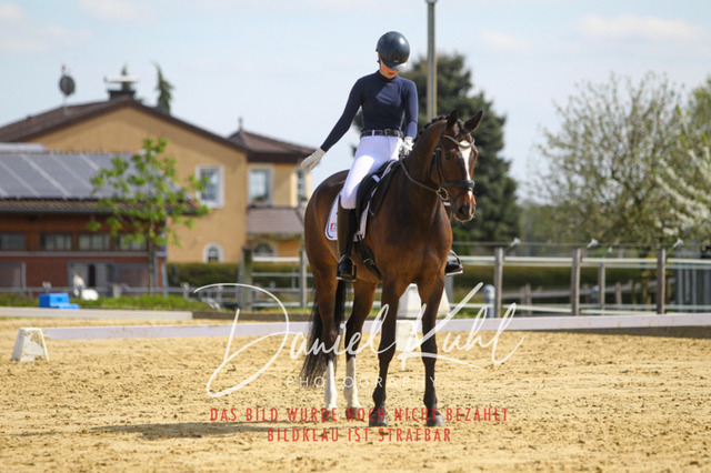 DKP43235 | Turniersportfotografie; Pferdefotografie; Dressurfotografie