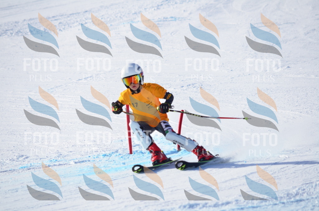 C6326 | holidayphoto