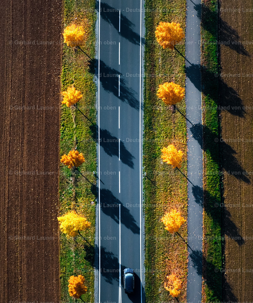 9300057 | Baumallee bei Thundorf