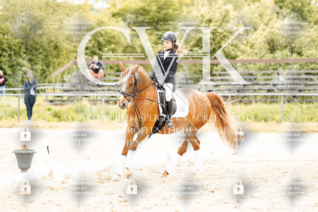 CK904586 | Turnierfotografie Pferdefotografie Trier Rheinland-Pfalz Pferdesport Reitsport Tierfotografie Sportfotografie Pferdevideo Pferdevideografie Equestrianvideography equestrianphotography  - Realisiert mit Pictrs.com