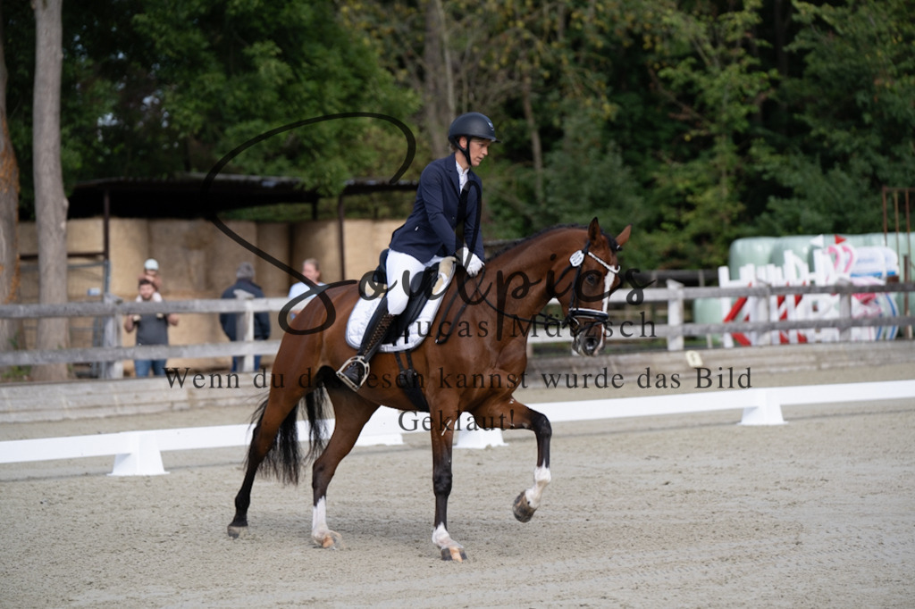 A7V06801 | Turnier/Reitfotograf