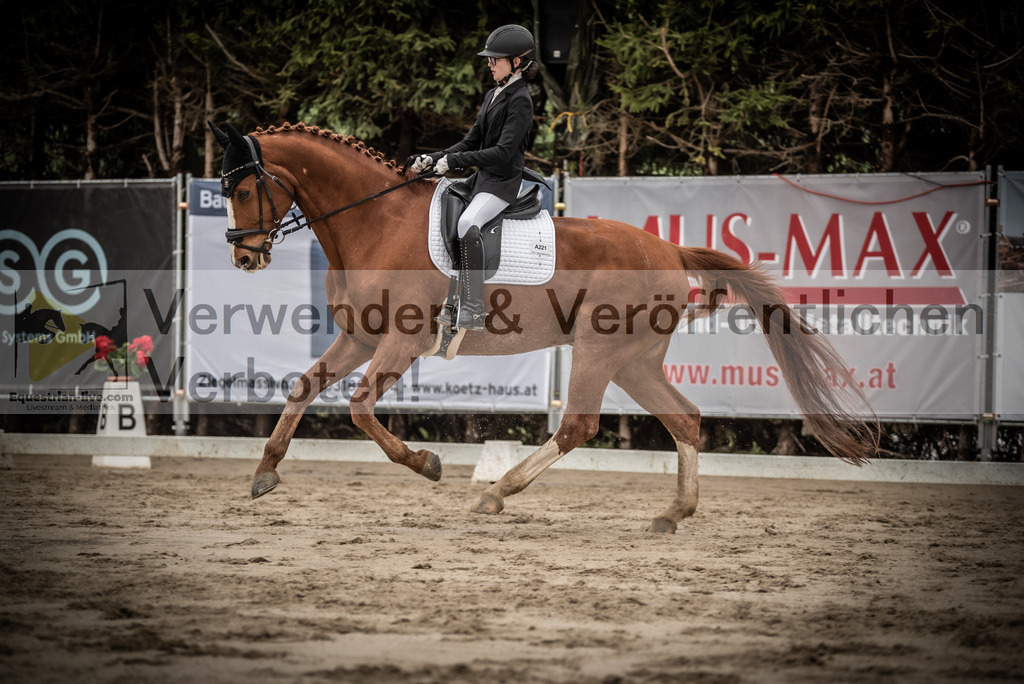 DSC_0256 | equestrian-live-com