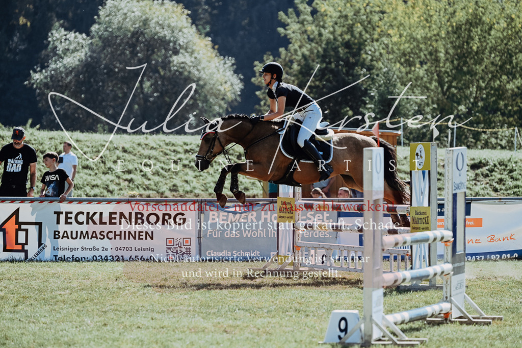 DSC_6040 | Pferde- und Turnierfotografie in Westsachsen. Pferdeportraits, Auftragszeichnungen und intuitive Kunst.