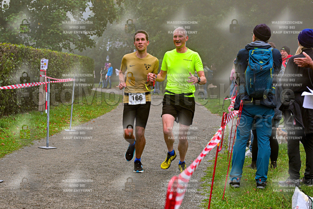 Z8N_1678 | la-psv - Realisiert mit Pictrs.com